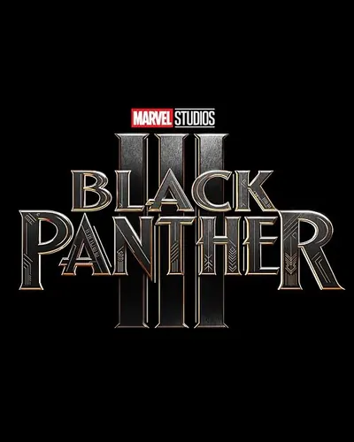 Black Panther 3 (2028) poster